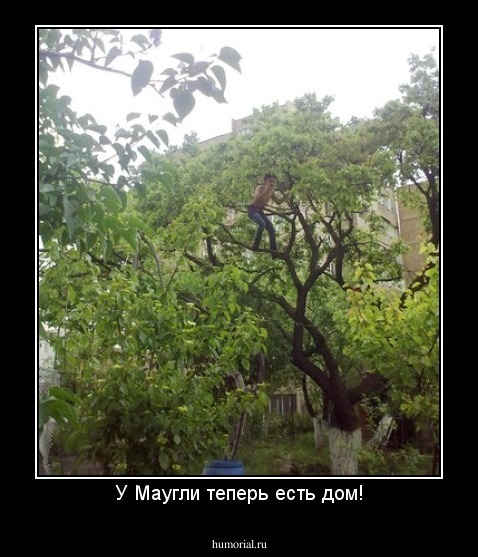 У Маугли теперь есть дом!