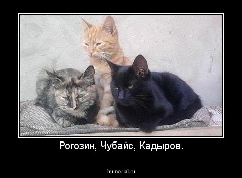 Рогозин, Чубайс, Кадыров.