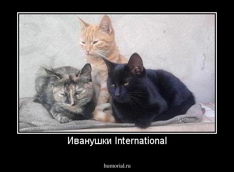 Иванушки International