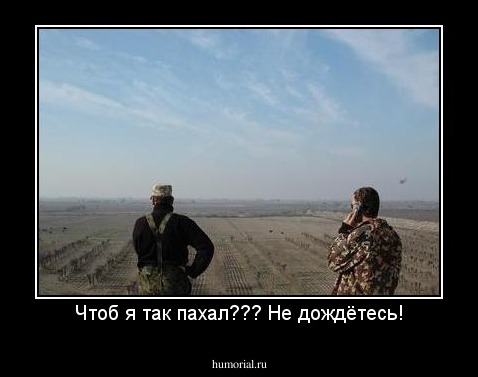 Чтоб я так пахал??? Не дождётесь!
