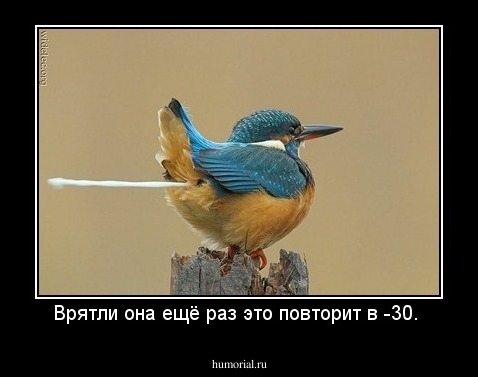 Врятли она ещё раз это повторит в -30. 