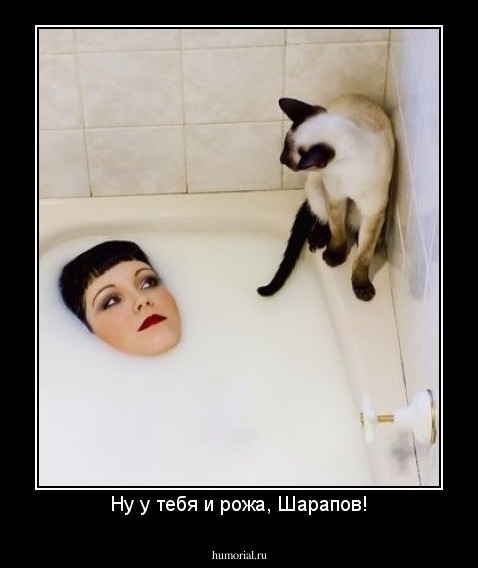 Ну у тебя и рожа, Шарапов!