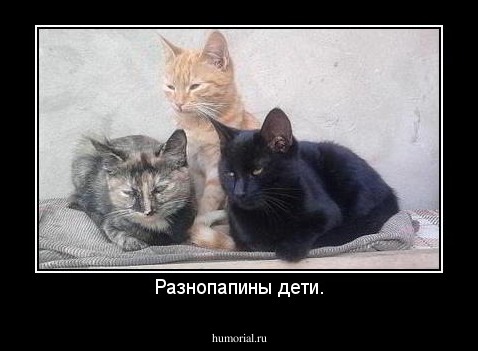 Разнопапины дети.