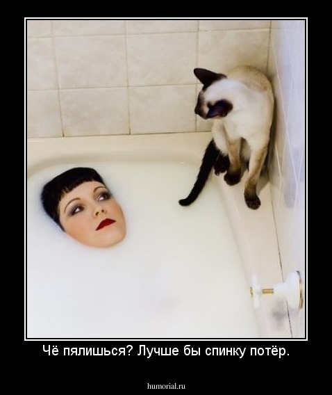 Чё пялишься? Лучше бы спинку потёр.