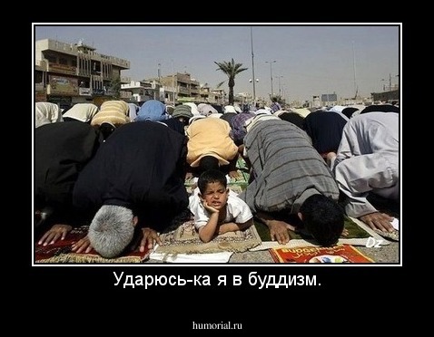 Ударюсь-ка я в буддизм.