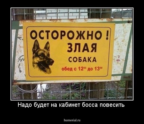 Надо будет на кабинет босса повесить 