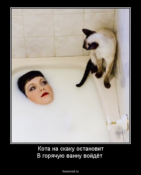 Кота на скаку остановит
В горячую ванну войдёт