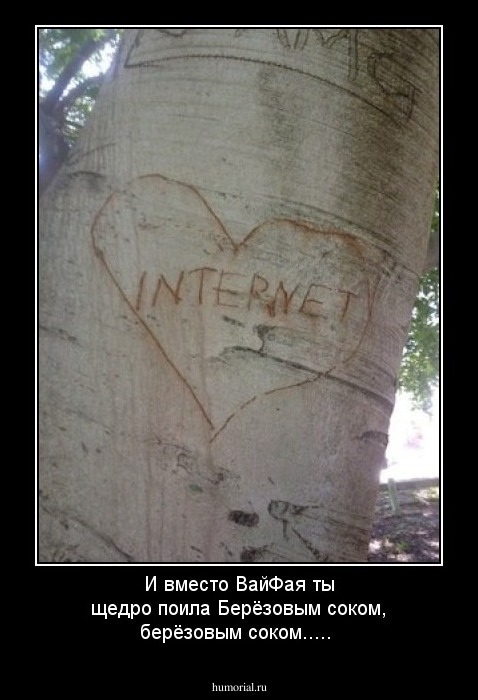 И вместо ВайФая ты щедро поила
Берёзовым соком, берёзовым соком.....