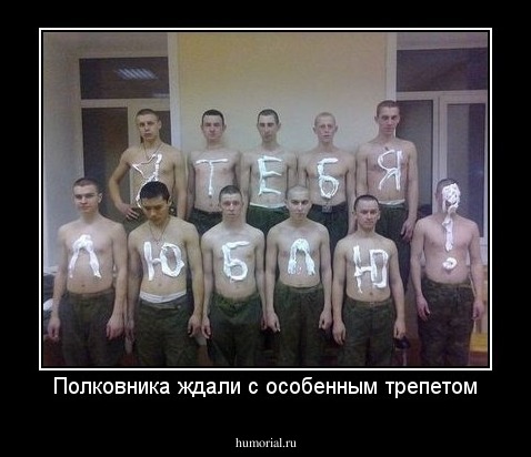 Полковника ждали с особенным трепетом