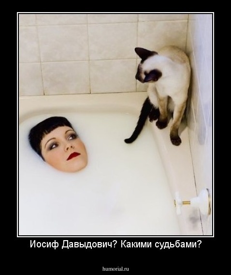 Иосиф Давыдович? Какими судьбами?
