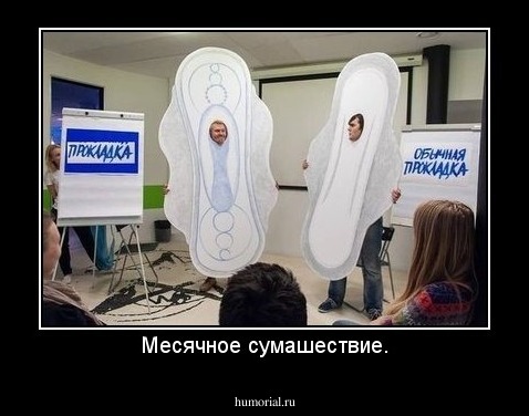 Месячное сумашествие.