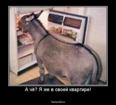 А чё? Я же в своей квартире!