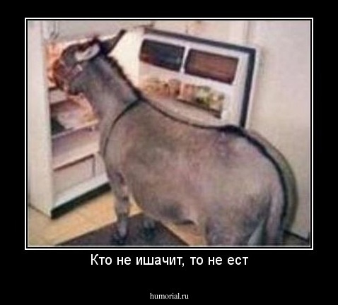 Кто не ишачит, то не ест