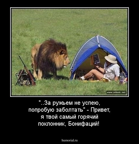 "..За ружьем не успею, попробую заболтать" - Привет,  я твой самый горячий поклонник, Бонифаций!