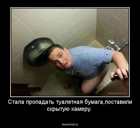Стала пропадать туалетная бумага,поставили скрытую камеру.