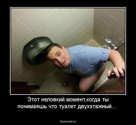 Этот неловкий момент,когда ты понимаешь что туалет двухэтажный...