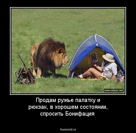 Продам ружье палатку и рюкзак, в хорошем состоянии, спросить Бонифация