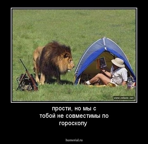 прости, но мы с тобой не совместимы по гороскопу