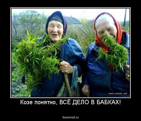 Козе понятно, ВСЁ ДЕЛО В БАБКАХ!