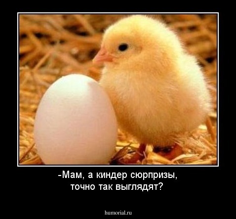 -Мам, а киндер сюрпризы, точно так выглядят?
