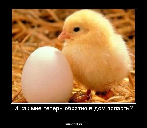И как мне теперь обратно в дом попасть?