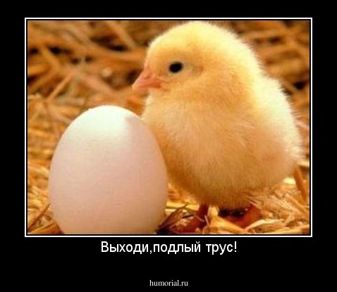 Выходи,подлый трус!