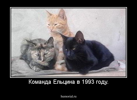 Команда Ельцина в 1993 году.