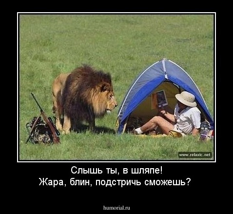 Слышь ты, в  шляпе! Жара, блин, подстричь сможешь?