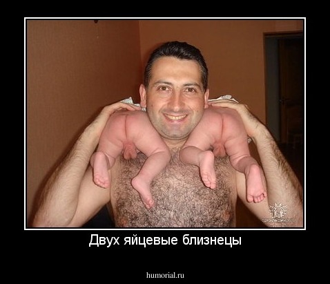 Двух яйцевые близнецы