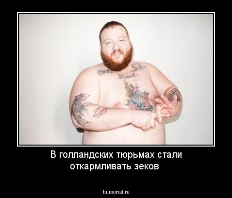 В голландских тюрьмах стали откармливать зеков