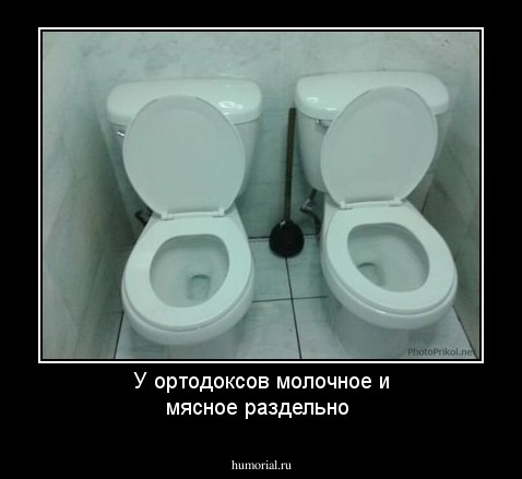 У ортодоксов молочное и мясное раздельно  