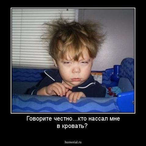 Говорите честно...кто нассал мне в кровать?