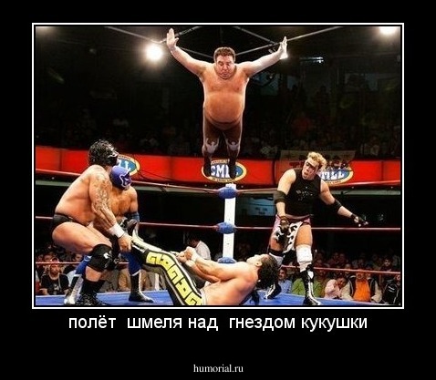 полёт  шмеля над  гнездом кукушки