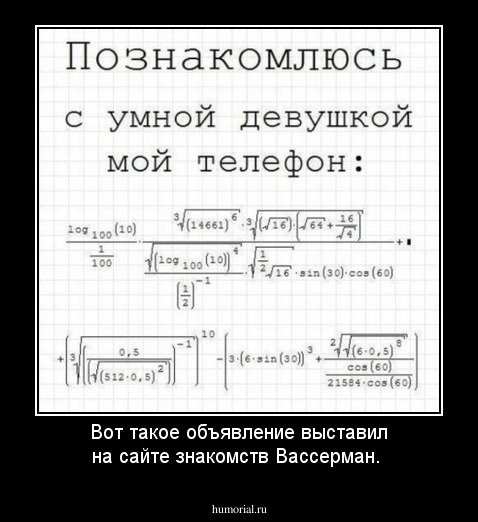 Вот такое объявление выставил на сайте знакомств Вассерман.