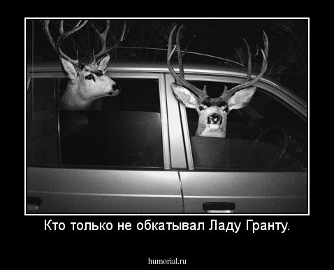Кто только не обкатывал Ладу Гранту.