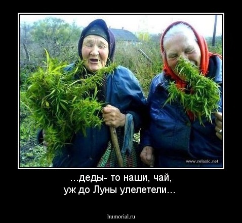 ...деды- то наши, чай, уж до Луны улелетели...