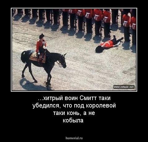 ...хитрый воин Смитт таки убедился, что под королевой таки конь, а не кобыла