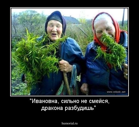 "Ивановна, сильно не смейся, дракона разбудишь"