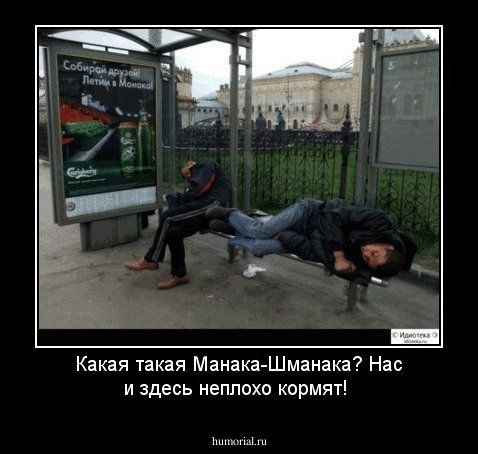 Какая такая Манака-Шманака? Нас и здесь неплохо кормят!