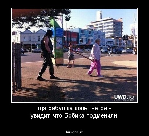 ща бабушка копытнется - увидит, что Бобика подменили