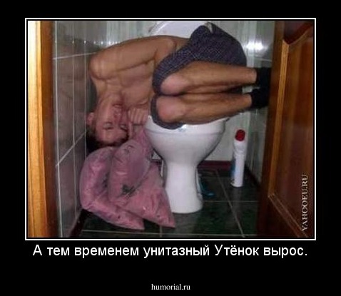 А тем временем унитазный Утёнок вырос.