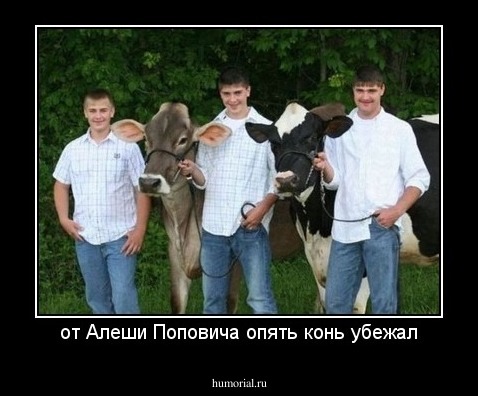 от Алеши Поповича опять конь убежал
