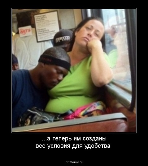 ...а теперь им созданы все условия для удобства
