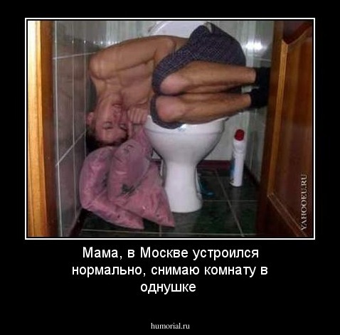 Мама, в Москве устроился нормально, снимаю комнату в однушке