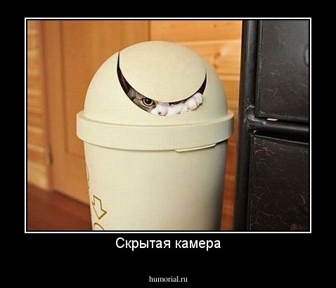 Скрытая камера