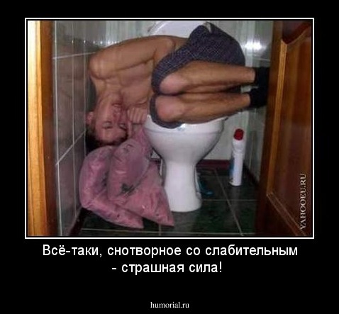 Всё-таки, снотворное со слабительным - страшная сила!