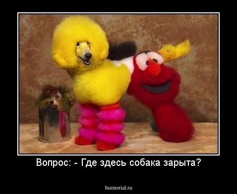 Вопрос: - Где здесь собака зарыта?