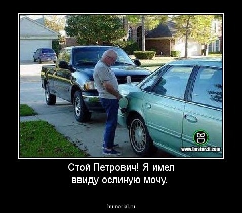 Стой Петрович! Я имел ввиду ослиную мочу.