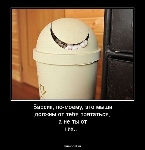 Барсик, по-моему, это мыши должны от тебя прятаться, а не ты от них...