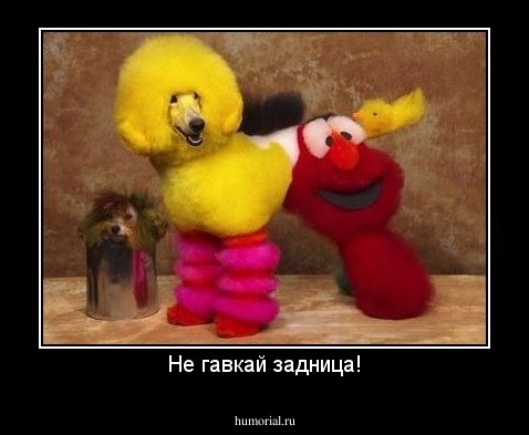 Не гавкай задница!